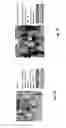 Fig. 07 - SYSTEM AND METHOD FOR ACCURATELY ANALYZING SENSED DATA