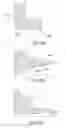 Fig. 46 - METHOD AND SYSTEM FOR OPTICAL CHARACTER RECOGNITION THAT SHORT CIRCUIT PROCESSING FOR NON-CHARACTER CONTAINING CANDIDATE SYMBOL IMAGES