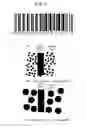Fig. 10 - Identification method, identification system, matching device, and program