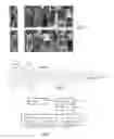 Fig. 03 - Multi-layer aggregation for object detection