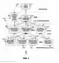 Fig. 02 - Method for determining and providing display analyzing of impact severity of event on a network