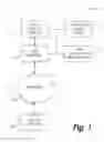 Fig. 02 - SYSTEM AND METHOD FOR EXCLUSION-BASED IMPOSTER SCREENING
