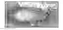 Fig. 01 - Applying relative weighting schemas to online usage data