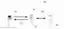Fig. 01 - METHOD AND SYSTEM FOR ESTIMATING ECONOMIC LOSSES FROM HAIL STORMS