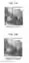 Fig. 12 - Image processing apparatus and image processing method