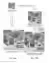 Fig. 13 - Image processing apparatus and image processing method