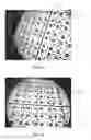 Fig. 10 - Targets, fixtures, and workflows for calibrating an endoscopic camera