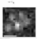 Fig. 01 - 3-D localization and imaging of dense arrays of particles
