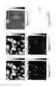 Fig. 12 - 3-D localization and imaging of dense arrays of particles
