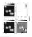 Fig. 16 - 3-D localization and imaging of dense arrays of particles