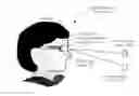 Fig. 01 - Scene analysis for improved eye tracking