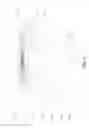 Fig. 04 - Cabin and trailer body movement determination with camera at the back of the cabin