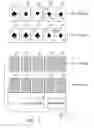 Fig. 04 - Systems, apparatuses and methods enhancing gaming outcome opportunities