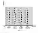 Fig. 07 - Method, device and system of detecting uniformity of thickness of a display screen