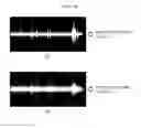 Fig. 22 - AUDIO SIGNAL SIZE CONTROL METHOD AND DEVICE