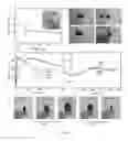 Fig. 07 - Self-healing composites and applications thereof
