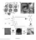 Fig. 19 - Self-healing composites and applications thereof