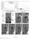Fig. 22 - Self-healing composites and applications thereof