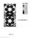Fig. 04 - Quench protected structured superconducting cable