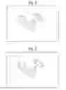 Fig. 03 - Data directed acquisition of imaging mass