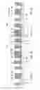 Fig. 03 - Semiconductor Device Manufacturing Method