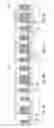 Fig. 04 - Semiconductor Device Manufacturing Method