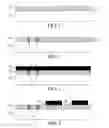 Fig. 02 - Mixed lithography approach for e-beam and optical exposure using HSQ
