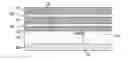 Fig. 01 - Wafer backside particle mitigation
