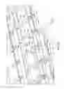 Fig. 16 - Tape-based epitaxial lift off apparatuses and methods
