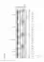 Fig. 04 - Donor mask, method of manufacturing organic light-emitting display apparatus by using the same, and organic light-emitting display apparatus