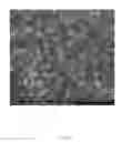 Fig. 10 - Homogeneous precursor formation method and device thereof