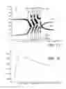 Fig. 07 - Light-emitting diode with multiple quantum wells and asymmetric p-n junction