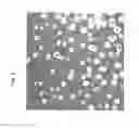 Fig. 05 - Gallium nitride substrates and functional devices