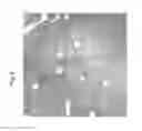 Fig. 07 - Gallium nitride substrates and functional devices