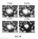 Fig. 07 - Organic phosphor-functionalized nanoparticles and compositions comprising the same