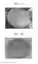 Fig. 05 - Feroelectric ceramics and method for manufacturing the same