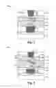 Fig. 02 - Memory structure having top electrode with protrusion
