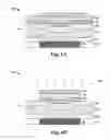 Fig. 06 - Memory structure having top electrode with protrusion