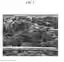Fig. 04 - POSITIVE ELECTRODE FOR RECHARGEABLE LITHIUM BATTERY AND METHOD OF PREPARING SAME, NEGATIVE ELECTRODE FOR RECHARGEABLE LITHIUM BATTERY AND METHOD OF PREPARING SAME