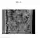 Fig. 09 - POSITIVE ELECTRODE FOR RECHARGEABLE LITHIUM BATTERY AND METHOD OF PREPARING SAME, NEGATIVE ELECTRODE FOR RECHARGEABLE LITHIUM BATTERY AND METHOD OF PREPARING SAME