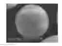 Fig. 01 - Electrode for rechargeable lithium battery and rechargeable lithium battery including the same