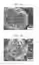 Fig. 05 - CATHODE MATERIAL, CATHODE INCLUDING THE SAME, AND LITHIUM BATTERY INCLUDING THE CATHODE
