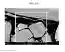 Fig. 07 - POSITIVE ACTIVE MATERIAL FOR RECHARGEABLE LITHIUM BATTERY