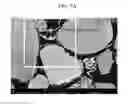 Fig. 09 - POSITIVE ACTIVE MATERIAL FOR RECHARGEABLE LITHIUM BATTERY