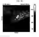 Fig. 14 - POSITIVE ACTIVE MATERIAL FOR RECHARGEABLE LITHIUM BATTERY