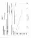 Fig. 26 - POSITIVE ACTIVE MATERIAL FOR RECHARGEABLE LITHIUM BATTERY