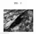 Fig. 06 - Positive electrode active material precursor for lithium secondary battery, positive electrode active material manufactured by using thereof, and lithium secondary battery including the same