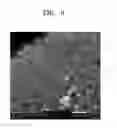 Fig. 07 - Positive electrode active material precursor for lithium secondary battery, positive electrode active material manufactured by using thereof, and lithium secondary battery including the same