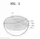 Fig. 04 - POSITIVE ELECTRODE ACTIVE MATERIAL AND SECONDARY BATTERY COMPRISING THE SAME