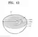 Fig. 13 - POSITIVE ELECTRODE ACTIVE MATERIAL AND SECONDARY BATTERY COMPRISING THE SAME
